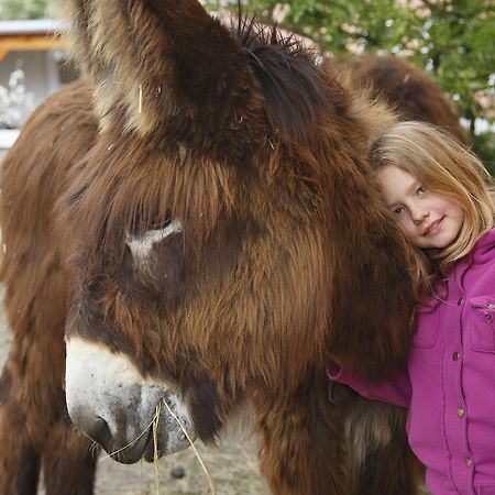 Garni Hotel Lavendelhof Nauen Kültér fotó