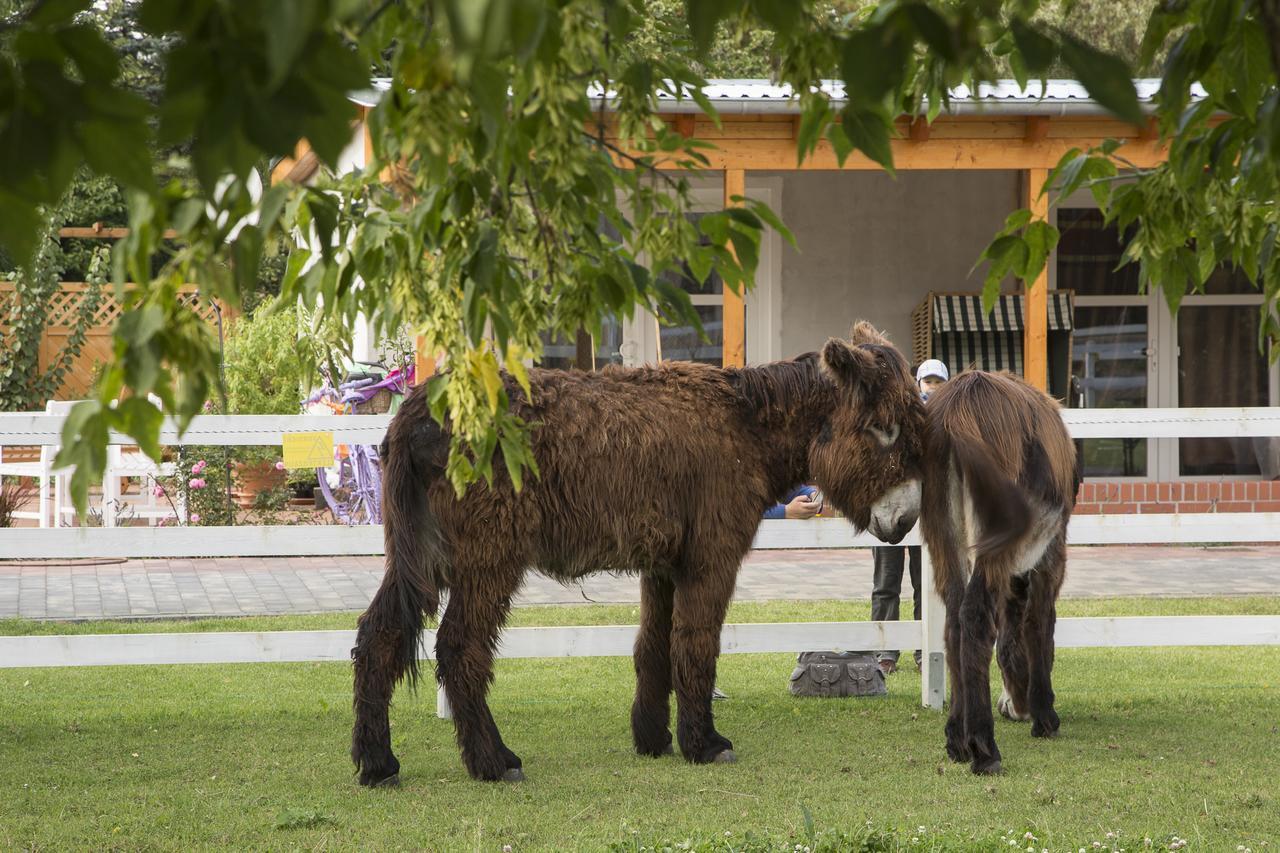 Garni Hotel Lavendelhof Nauen Kültér fotó